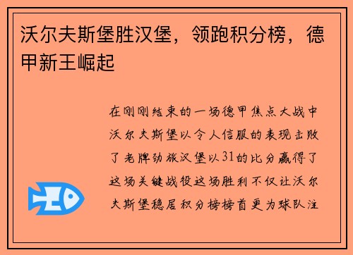 沃尔夫斯堡胜汉堡，领跑积分榜，德甲新王崛起